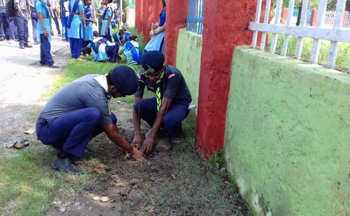 Mass tree plantation