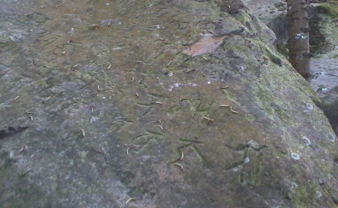 Sopneshwor Mahadev Trekking