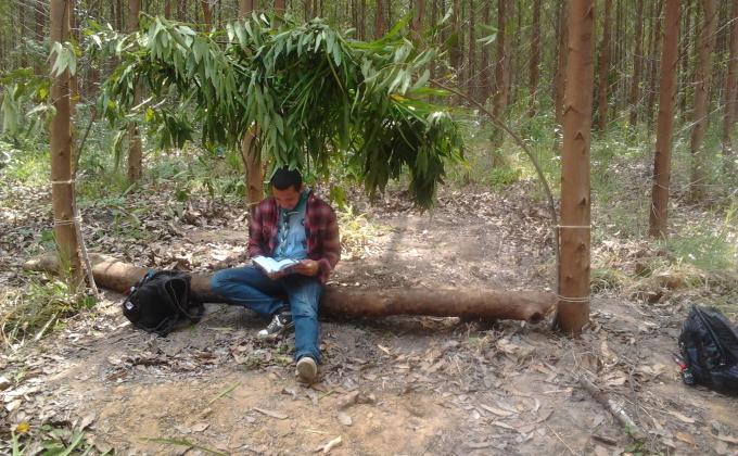 Estudando 