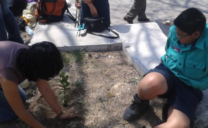 REFORESTACIÓN EN DELEGACIÓN DE HERCULES