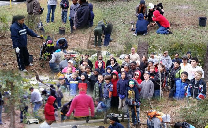 Tree Planting Party From Pack 331 Iron Horse District Sam Houston Area Council