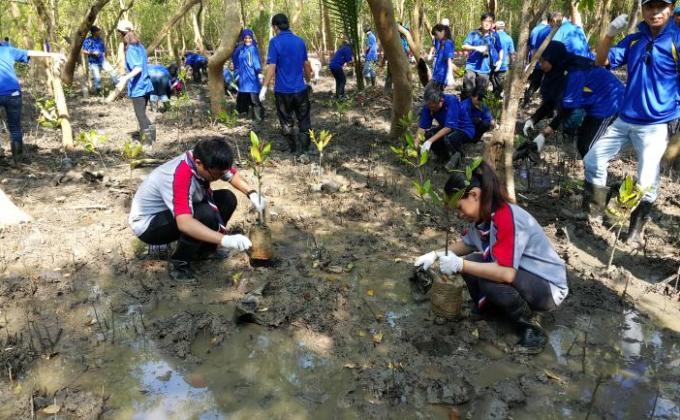 1000 Mangrove Tree Planting with Renesas Electronic