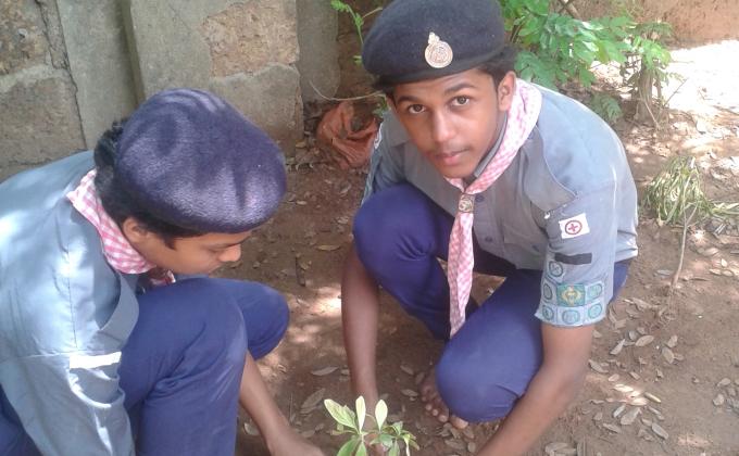 36 hours social service