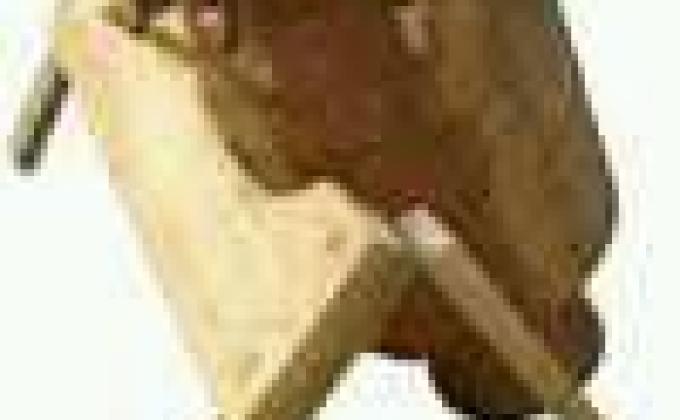 Talking Drum For Scouts & Guides 