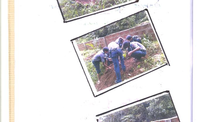 Community worker