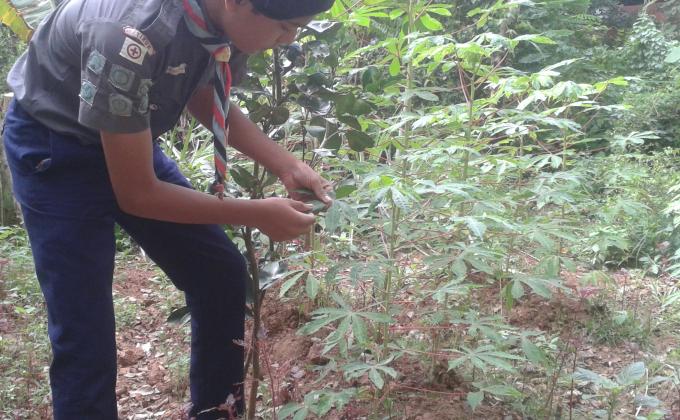 36 Hours Service Project- Preservation Of Greenery-Making a vegetable garden
