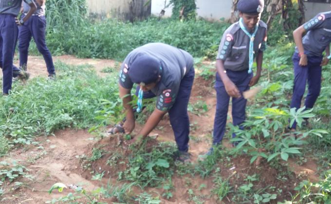 Preservation of greenery