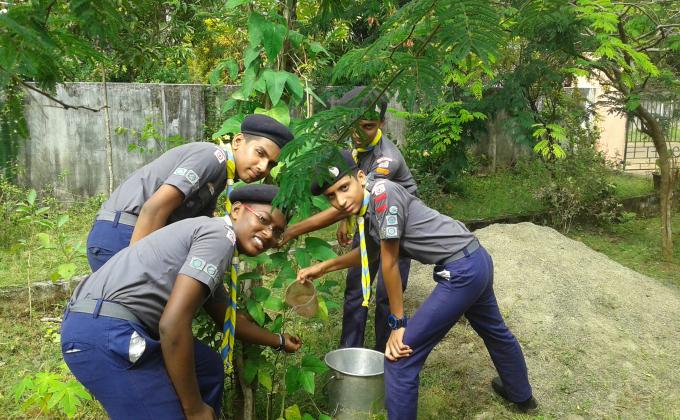 36 hours service project
