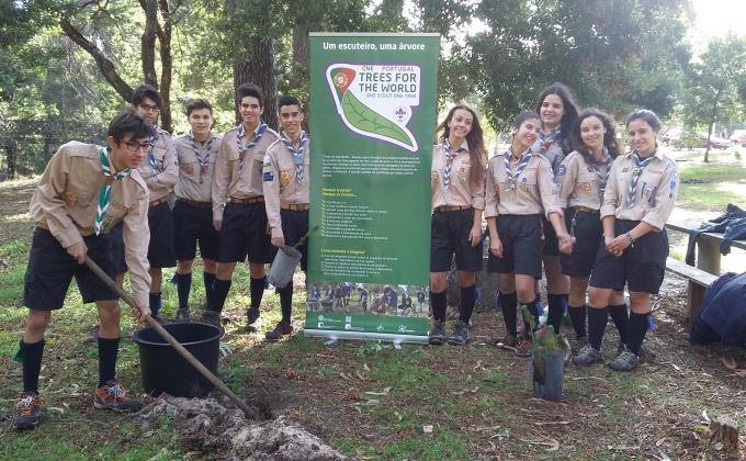 "Trees For The World Activity"