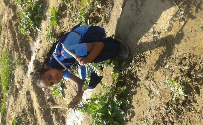 Swasch Bharat( MAKE THE LAND USEFUL)