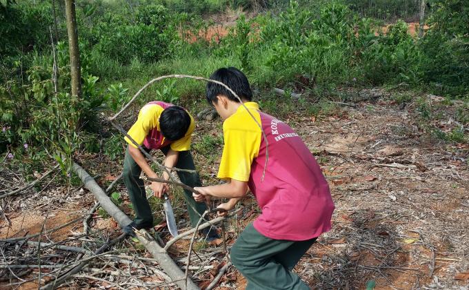 Scouting pioneering teaching 