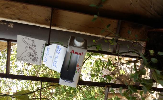Birdy water tank for thristy birds..(.Care for birds)