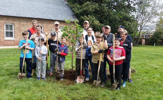 Dogwood Trees for Historic Hanover County, VA Courthouse