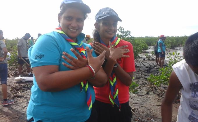 Mangrove Planting