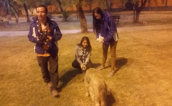 Alimentando a los perritos de la calle