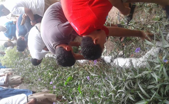 Beautification Project