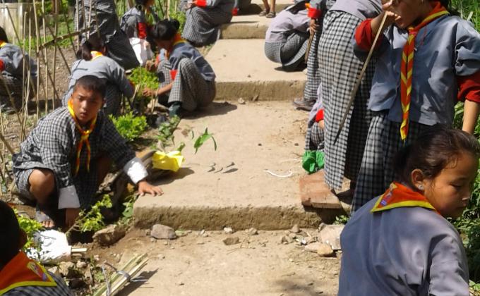 Plantation During June 2nd To Mark Social Foresty Day, To Commemorate The Birth of Our Gyalsey And to Remember Coronation Day of Fourth king Jigme Singye Wangchuch