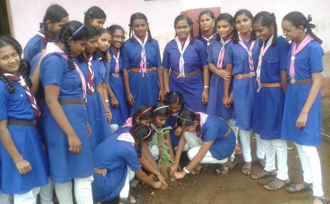 TREE PLANTATION