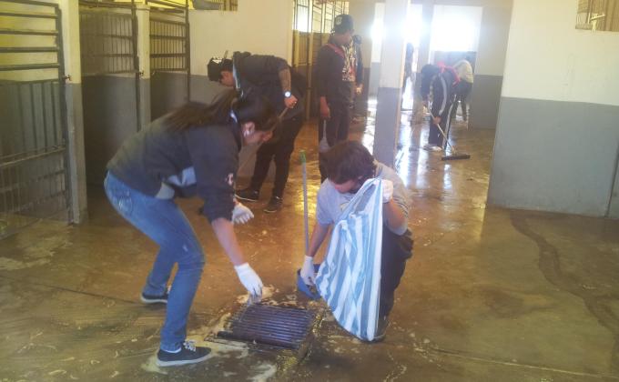 Rovers Unidos por las Mascotas 2: Clan Camelot - Oruro