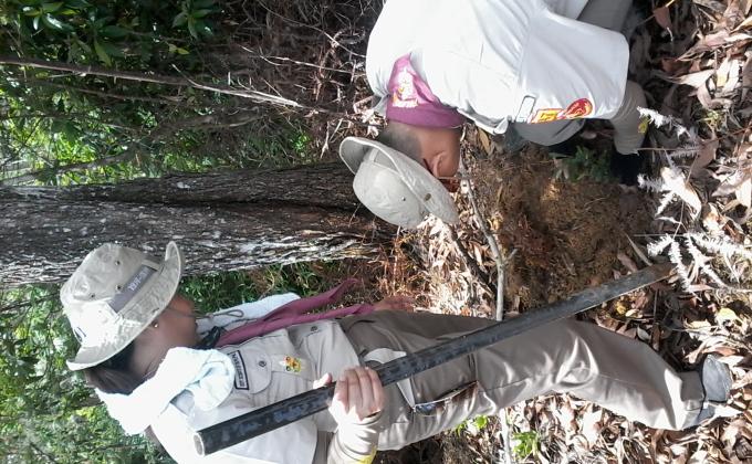 Tree Planting and Tree Parenting