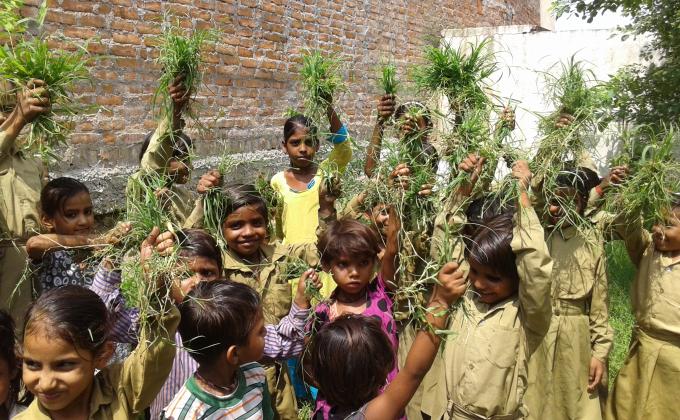Health and Hygiene