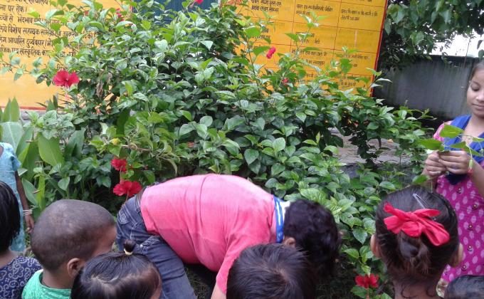 Conservation and Plantation