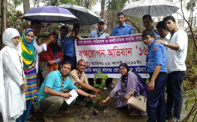 tree plantation