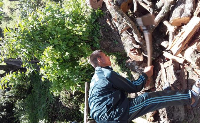 Community Service- Collecting Firewood for Old Grandpas