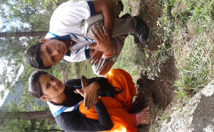 Tree Plantation