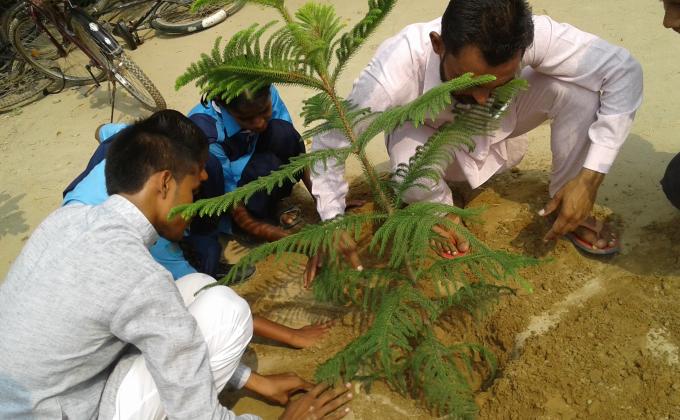 TREE FOR PEACE (INTERNATIONAL PEACE DAY)