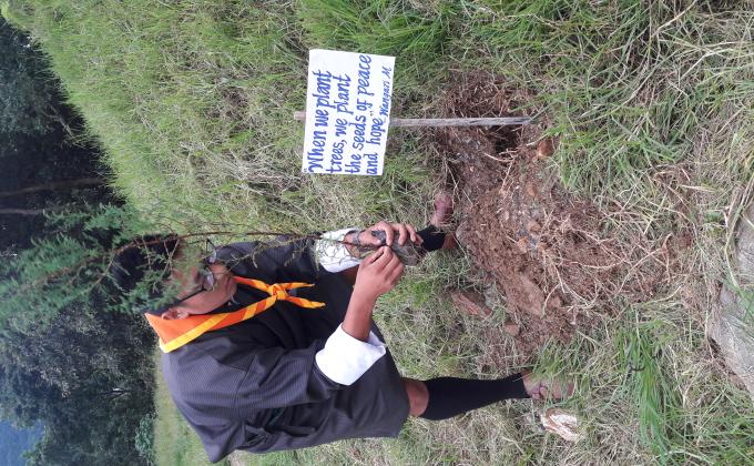 Planting peace 