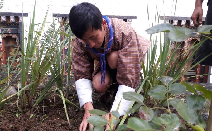 Planting a tree