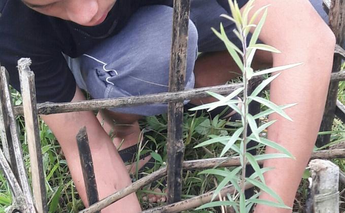 Conservation of Green 