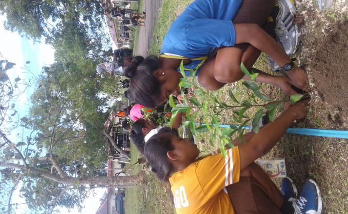 Tree planting at MALUKU'S SCOUT camp