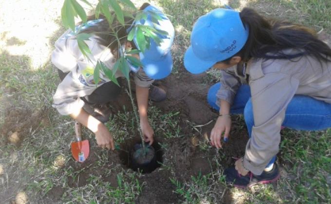 Embellecer parques y jardines