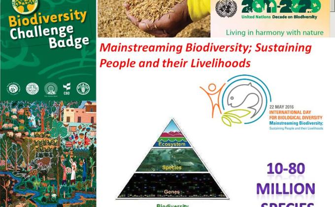 INTERNATIONAL DAY OF BIOLOGICAL DIVERSITY AND UN FAO YUNGA