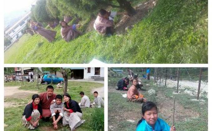 Small contribution for green bhutan 