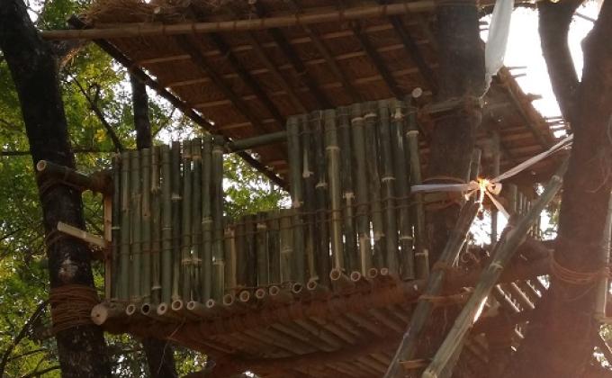 Tree House-Course Project