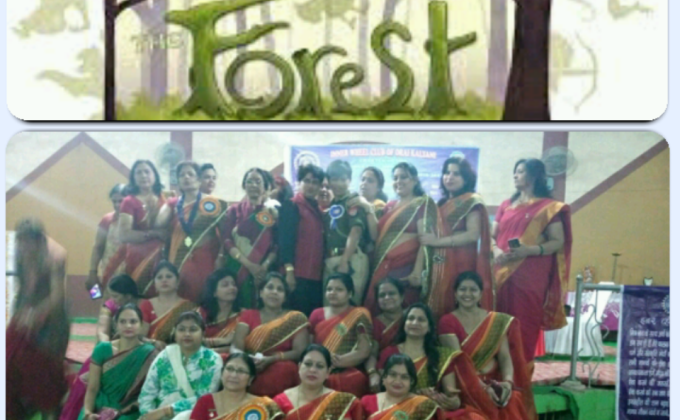 International Forest Day 