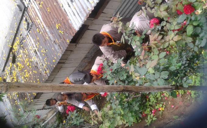 Cleaning campaign 