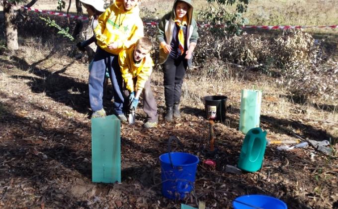 World Environment Day - Tree Planting