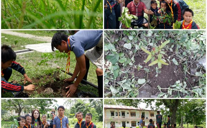 Plantation 