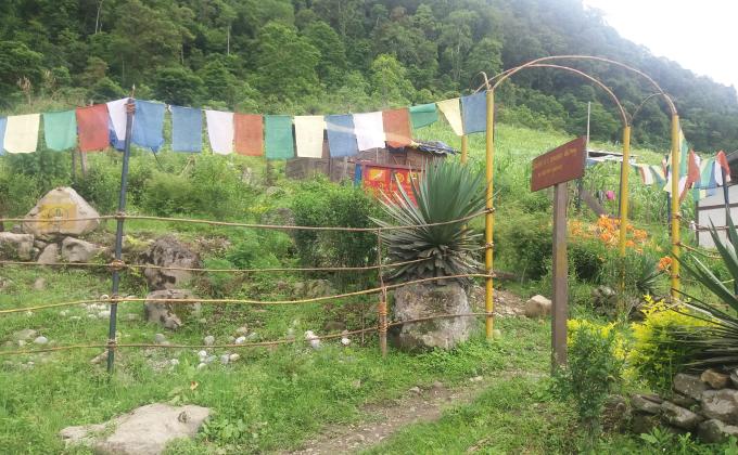 Cub Garden in the remotest school