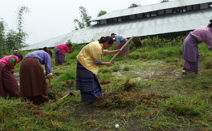 Tsebar school scouts