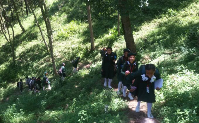 Exploring the Nature