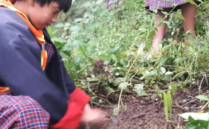 Go green, world