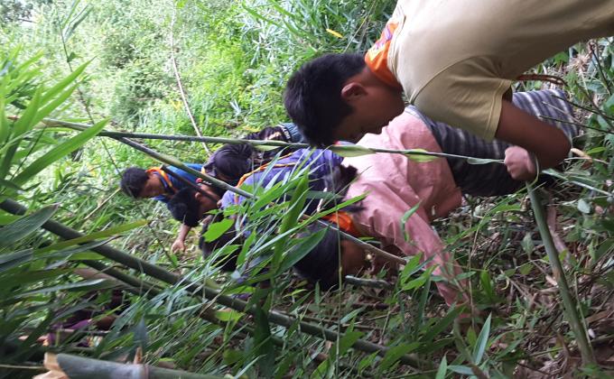 Bamboo plantation along the prone area road site