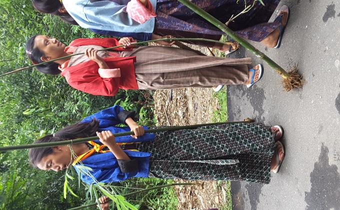 Bamboo plantation along the prone area road side