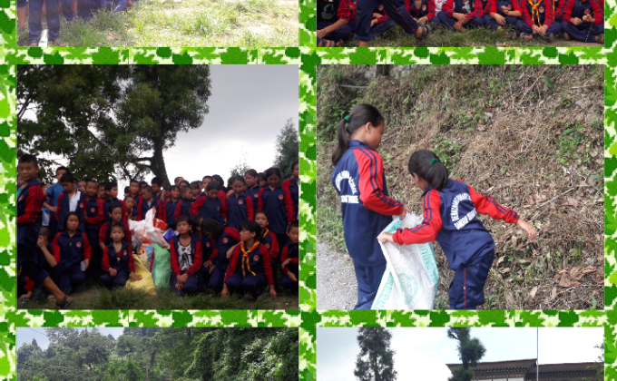 Social Service