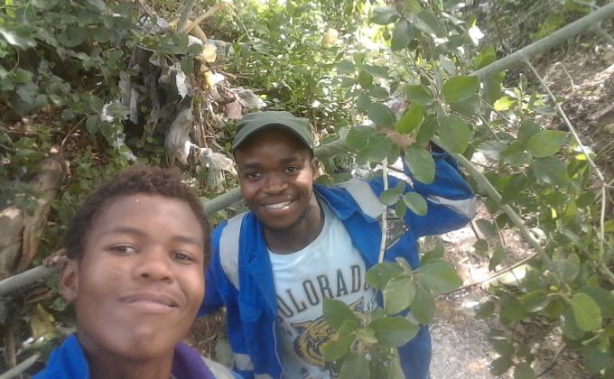 Environmental Project